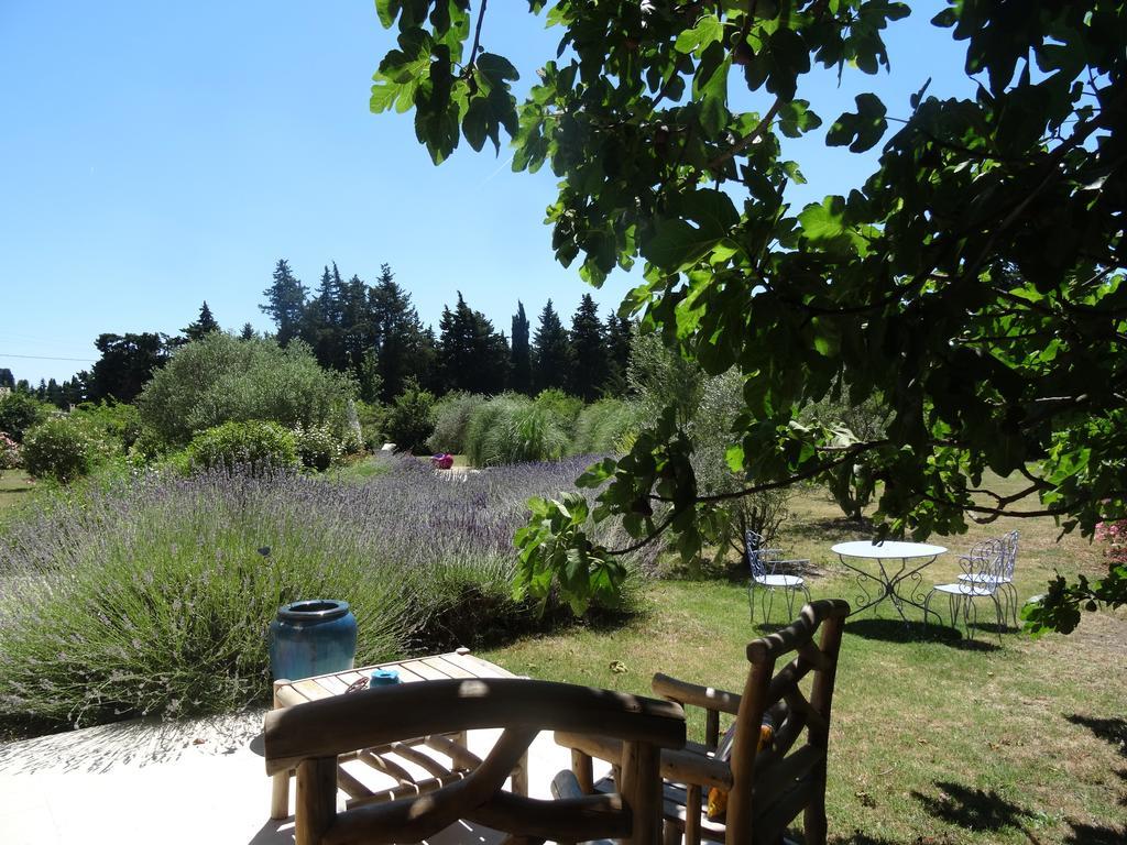Hébergement de vacances Le Nid De La Huppe